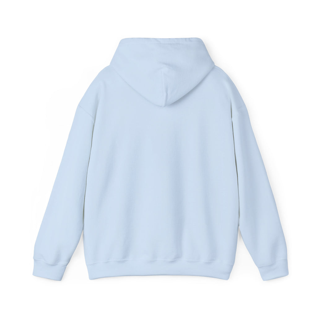Classic Hoody —  Heavy Blend Hooded Sweatshirt
