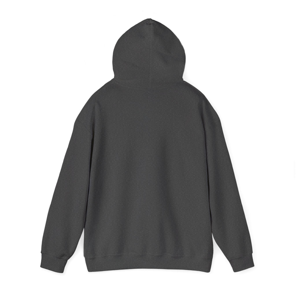 Classic Hoody —  Heavy Blend Hooded Sweatshirt