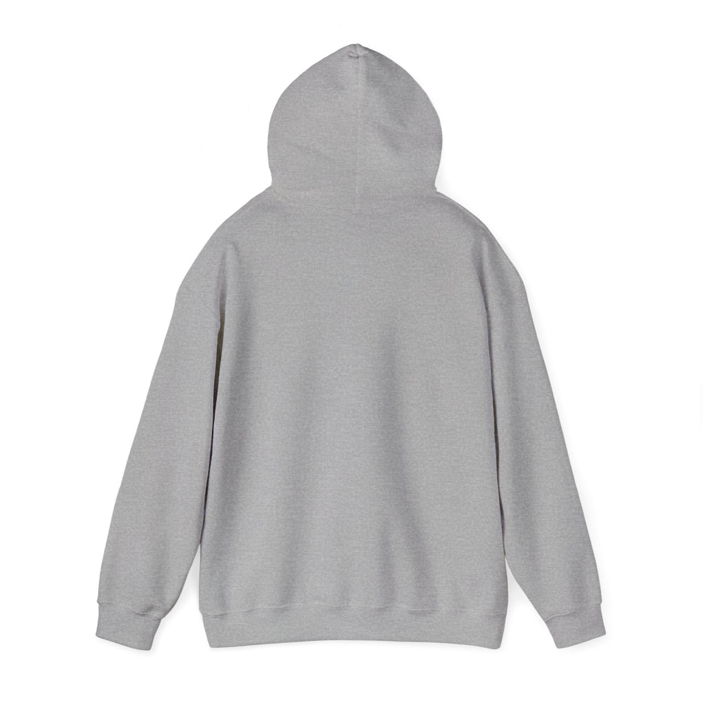 Classic Hoody —  Heavy Blend Hooded Sweatshirt