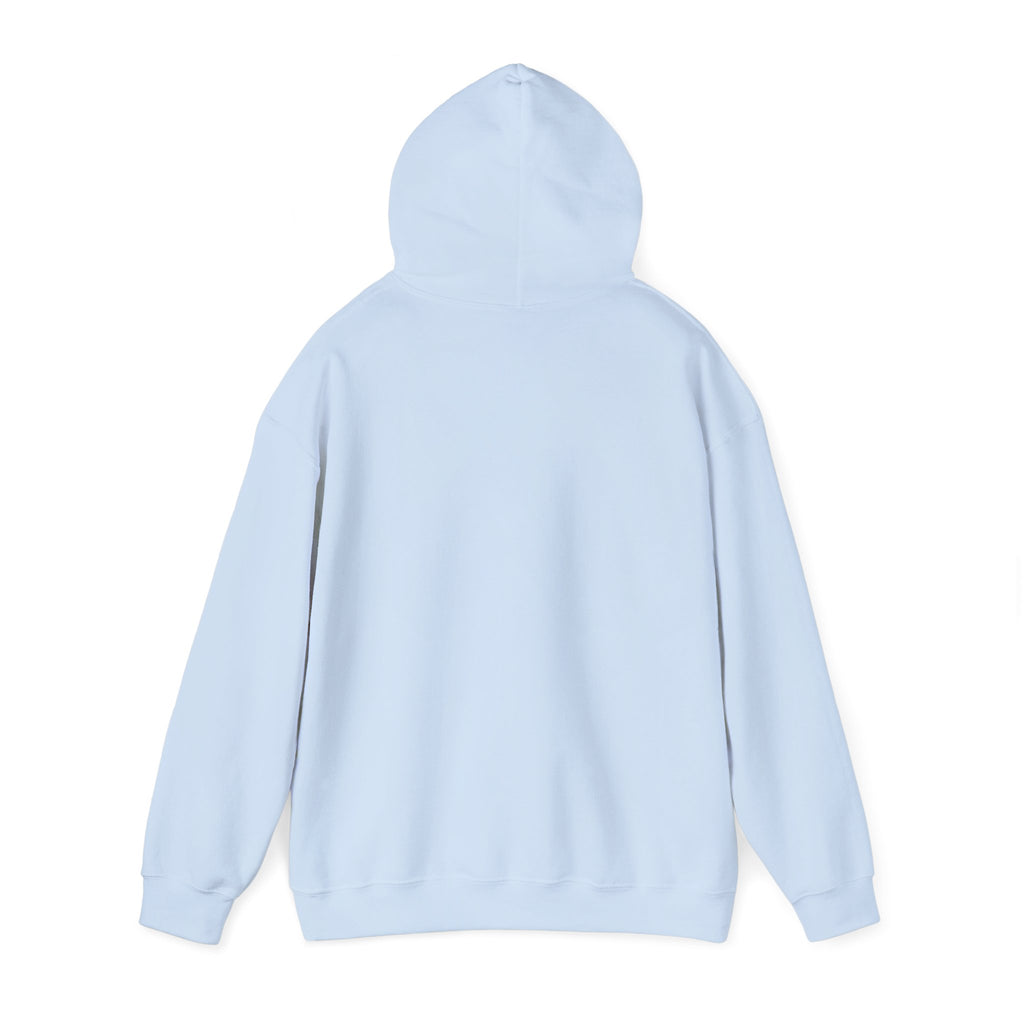 Classic Hoody —  Heavy Blend Hooded Sweatshirt